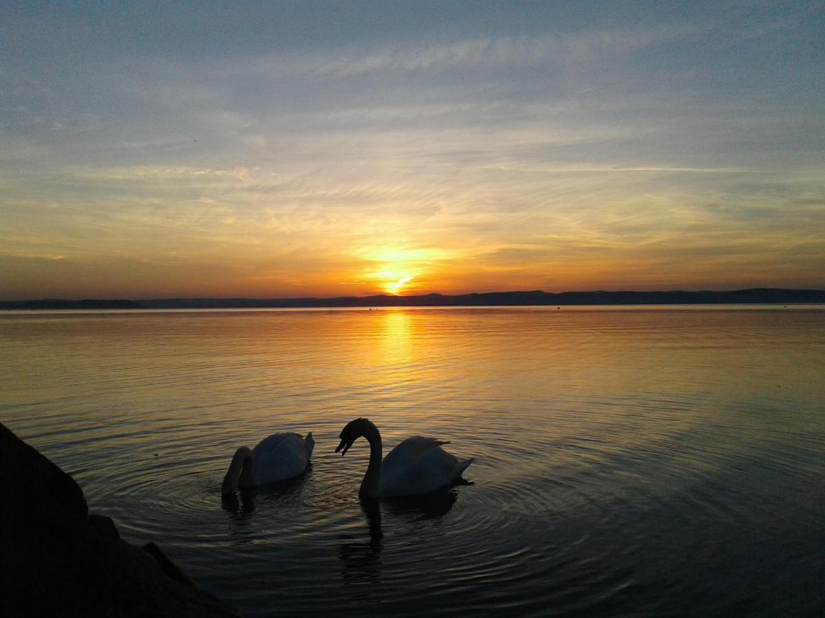 Balaton Wellness Apartman Шиофок Экстерьер фото