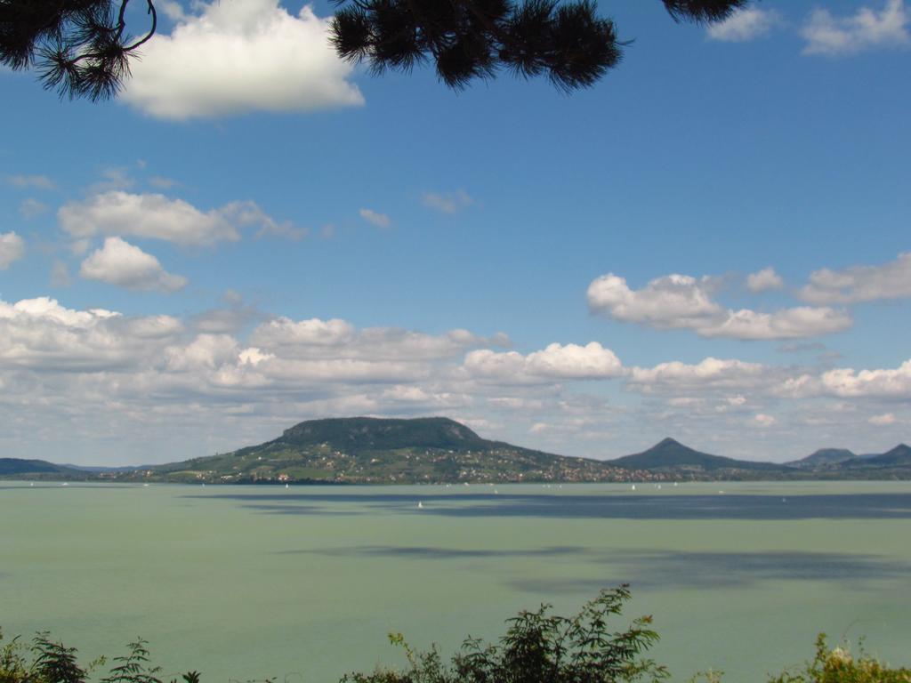 Balaton Wellness Apartman Шиофок Номер фото